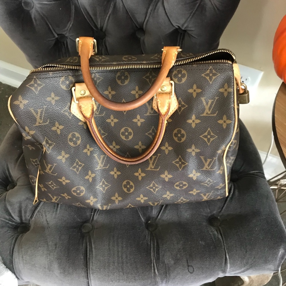 Louis Vuitton Purse